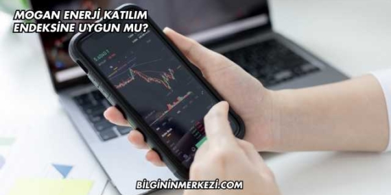 Mogan Enerji Katılım Endeksine Uygun mu?