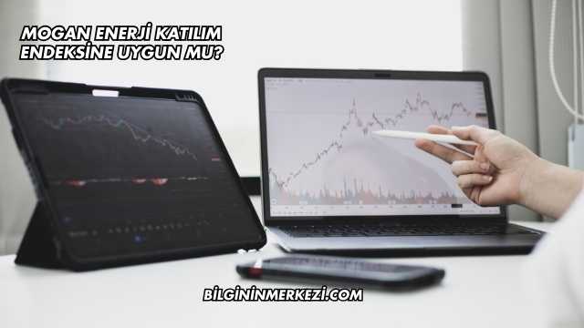 Mogan Enerji Katılım Endeksine Uygun mu?