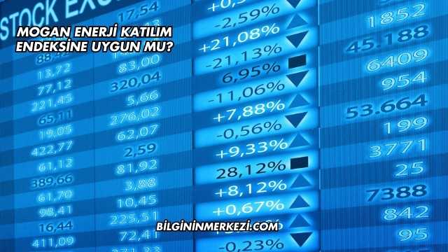 Mogan Enerji Katılım Endeksine Uygun mu?