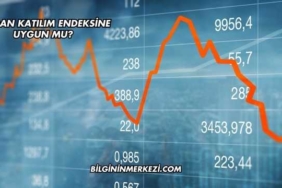 Mogan Katılım Endeksine Uygun mu?