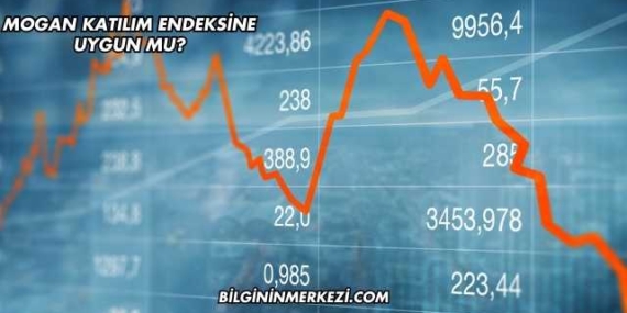 Mogan Katılım Endeksine Uygun mu?