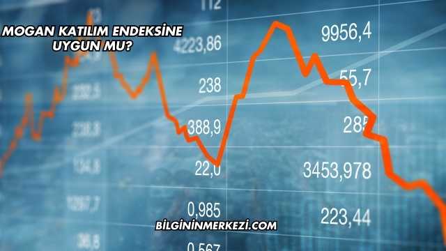 Mogan Katılım Endeksine Uygun mu?