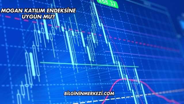 Mogan Katılım Endeksine Uygun mu?