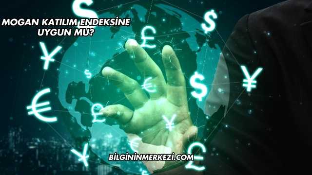 Mogan Katılım Endeksine Uygun mu?