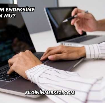 Naten Katılım Endeksine Uygun mu?