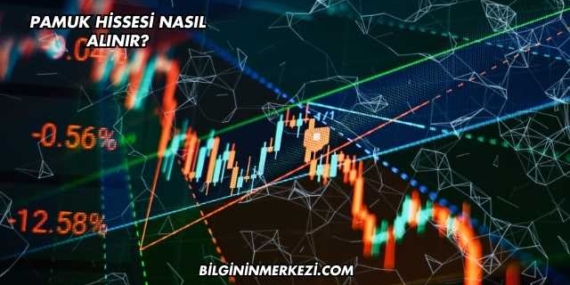Pamuk Hissesi Nasıl Alınır?