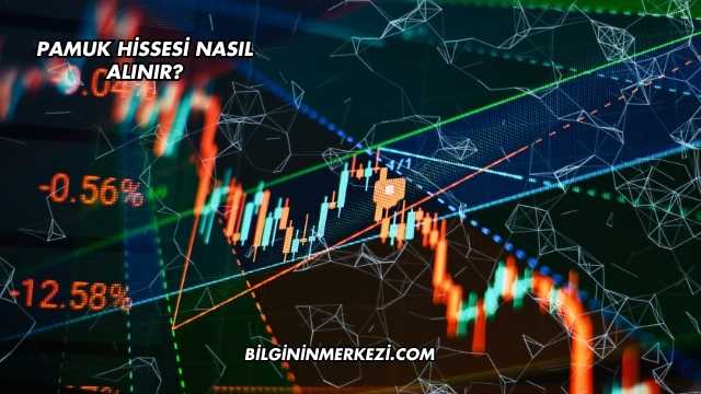 Pamuk Hissesi Nasıl Alınır?