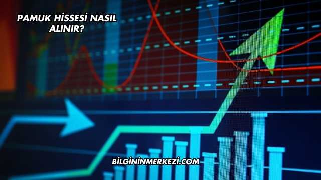 Pamuk Hissesi Nasıl Alınır?