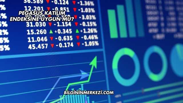 Pegasus Katılım Endeksine Uygun mu?