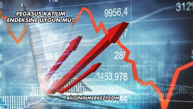 Pegasus Katılım Endeksine Uygun mu?