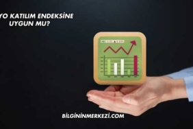 Pegyo Katılım Endeksine Uygun mu?