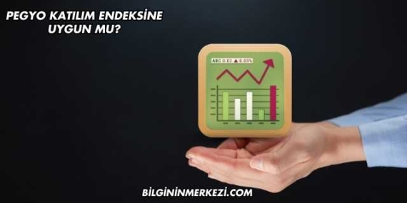 Pegyo Katılım Endeksine Uygun mu?