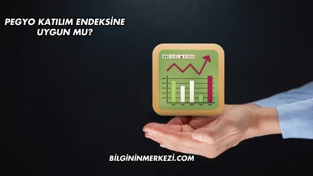 Pegyo Katılım Endeksine Uygun mu?