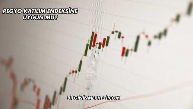 Pegyo Katılım Endeksine Uygun mu?