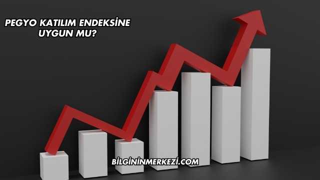 Pegyo Katılım Endeksine Uygun mu?
