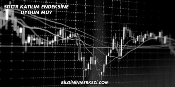 SDTTR Katılım Endeksine Uygun mu?