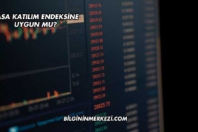 Sasa Katılım Endeksine Uygun mu?