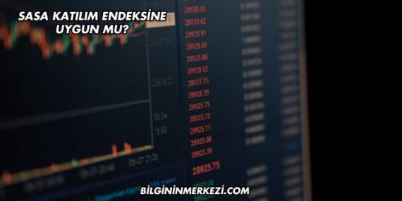 Sasa Katılım Endeksine Uygun mu?