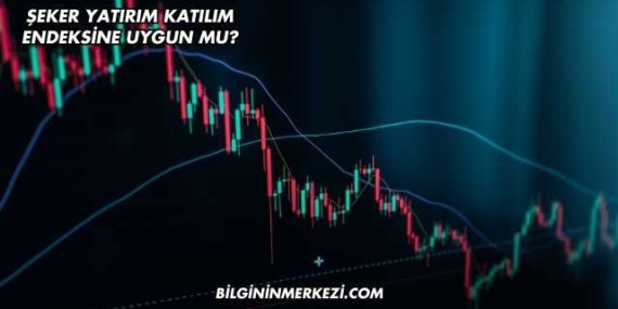 Şeker Yatırım Katılım Endeksine Uygun mu?