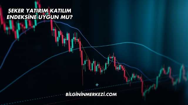 Şeker Yatırım Katılım Endeksine Uygun mu?