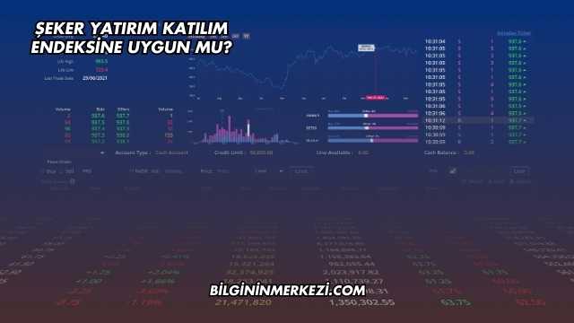 Şeker Yatırım Katılım Endeksine Uygun mu?