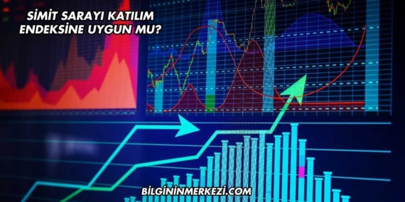 Simit Sarayı Katılım Endeksine Uygun mu?
