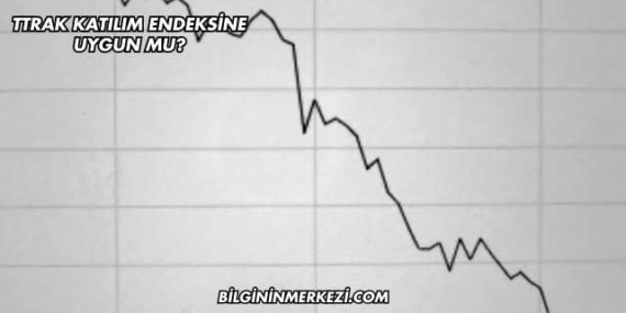 TTRAK Katılım Endeksine Uygun mu?