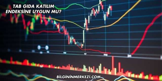 Tab Gıda Katılım Endeksine Uygun mu?