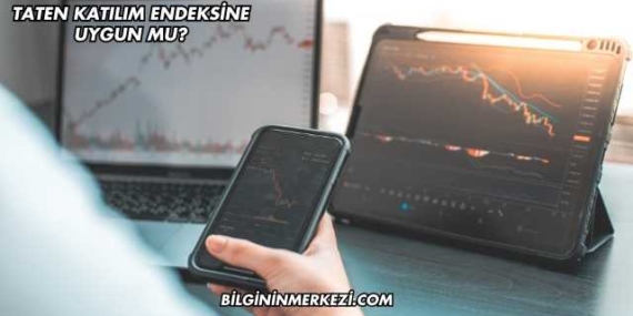 Taten Katılım Endeksine Uygun mu?