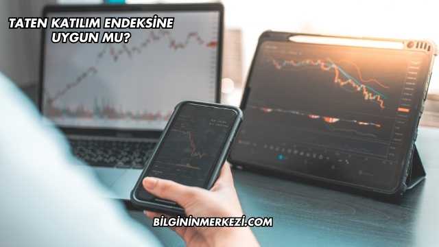 Taten Katılım Endeksine Uygun mu?
