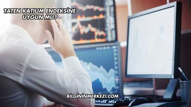 Taten Katılım Endeksine Uygun mu?