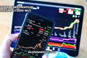 Tatlıpınar Enerji Katılım Endeksine Uygun mu?
