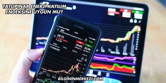 Tatlıpınar Enerji Katılım Endeksine Uygun mu?