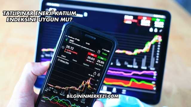 Tatlıpınar Enerji Katılım Endeksine Uygun mu?