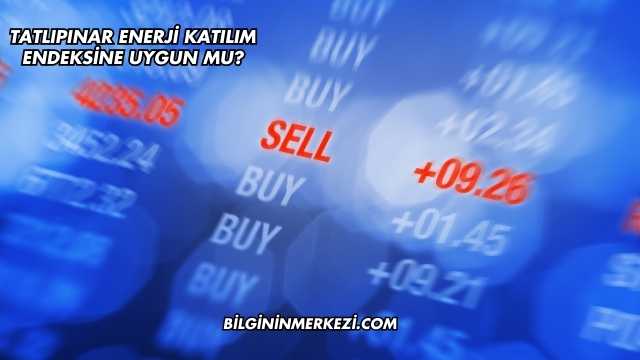 Tatlıpınar Enerji Katılım Endeksine Uygun mu?