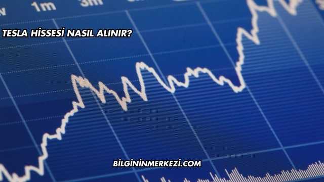Tesla Hissesi Nasıl Alınır?