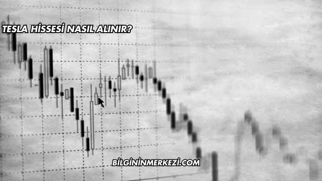 Tesla Hissesi Nasıl Alınır?