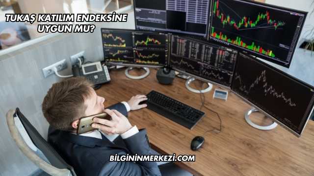 Tukaş Katılım Endeksine Uygun mu?