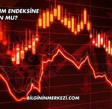 Tüpraş Katılım Endeksine Uygun mu?
