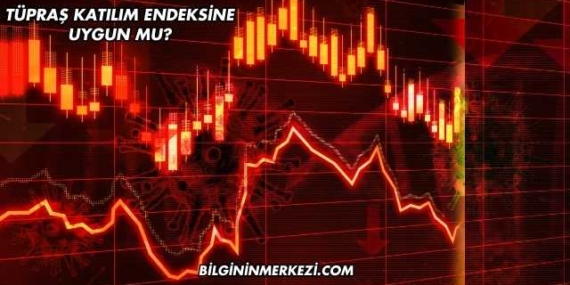 Tüpraş Katılım Endeksine Uygun mu?