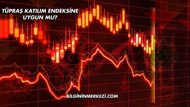 Tüpraş Katılım Endeksine Uygun mu?