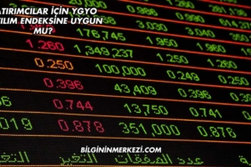 Yatırımcılar İçin YGYO Katılım Endeksine Uygun mu?