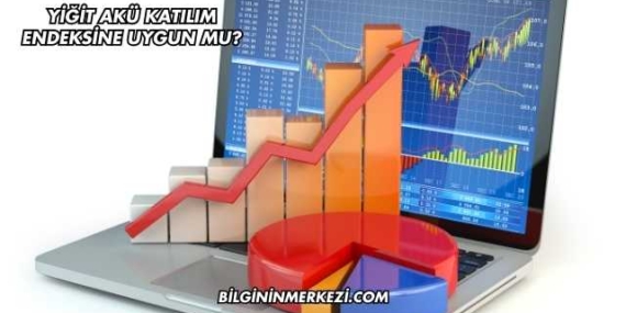 Yiğit Akü Katılım Endeksine Uygun mu?