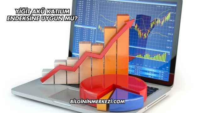 Yiğit Akü Katılım Endeksine Uygun mu?