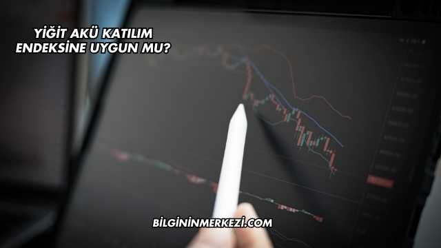 Yiğit Akü Katılım Endeksine Uygun mu?