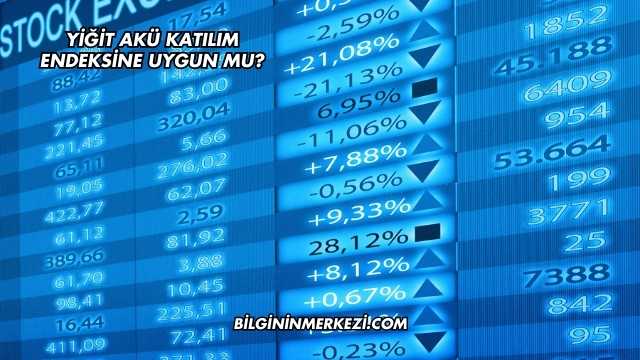 Yiğit Akü Katılım Endeksine Uygun mu?
