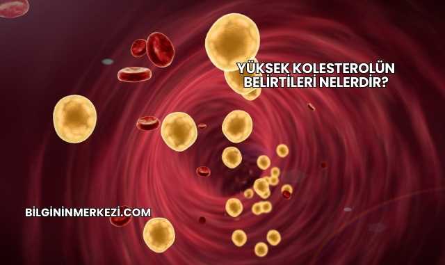 Yüksek Kolesterolün Belirtileri Nelerdir?