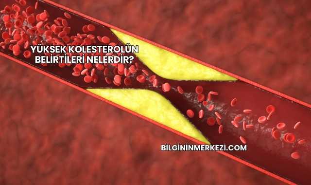 Yüksek Kolesterolün Belirtileri Nelerdir?