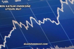 Zoren Katılım Endeksine Uygun mu?