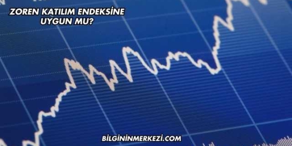Zoren Katılım Endeksine Uygun mu?